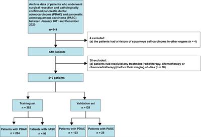 Non-enhanced magnetic resonance imaging-based radiomics model for the differentiation of pancreatic adenosquamous carcinoma from pancreatic ductal adenocarcinoma